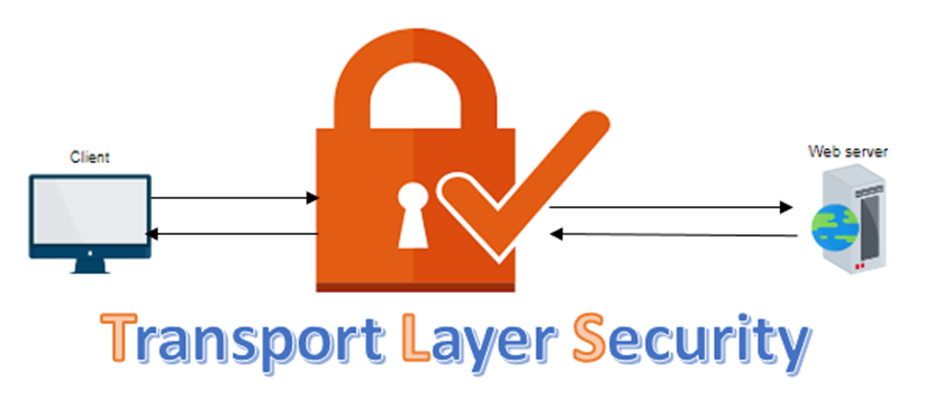 Perbedaan TLS vs SSL, Pentingnya untuk Keamanan Website! 3 Perbedaan TLS vs SSL, Pentingnya untuk Keamanan Website! 2