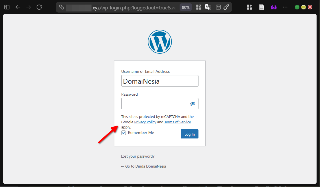 Ketahui 3 Cara Hapus Badge Google reCaptcha di Wordpress 11 Ketahui 3 Cara Hapus Badge Google reCaptcha di WordPress
