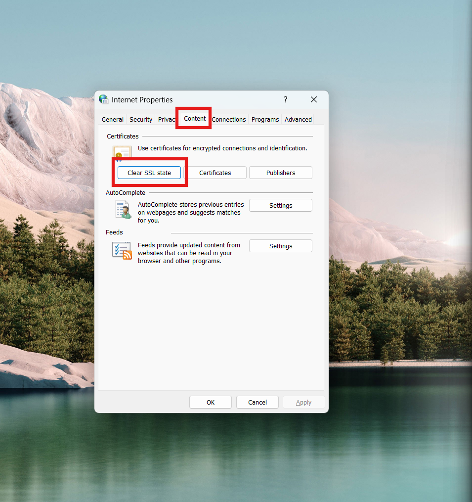 Tutorial Cara Mengatasi Error SSL Protocol di Sisi Browser 7 Tutorial Cara Mengatasi Error SSL Protocol di Sisi Browser 6