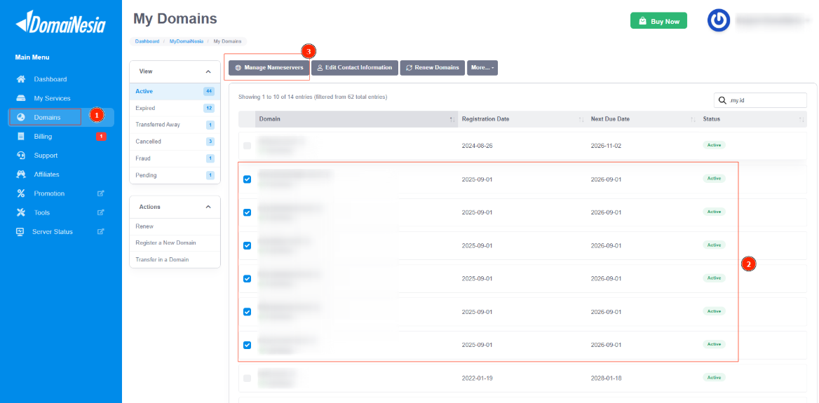 3 Langkah Mengubah Nameserver Banyak Domain Sekaligus di DomaiNesia 3 ubah Nameserver Banyak Domain Sekaligus