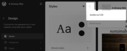 Custom Style di WordPress: Gunakan Additional CSS atau Child Theme? 3 Additional CSS