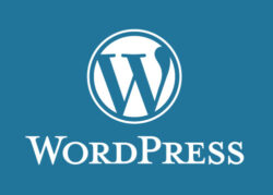 Custom Style di WordPress: Gunakan Additional CSS atau Child Theme? 2 WordPress