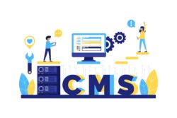 Mengenal Strapi: Solusi Headless CMS yang Fleksibel 4 CMS