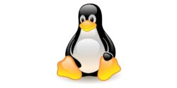 Swap Partition vs Swap File di Linux: Mana yang Lebih Efektif untuk Server? 2 Swap Partition vs Swap File di Linux: Mana yang Lebih Efektif untuk Server? 1