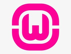 Apa Itu WAMP Server? Pengertian dan Fungsi untuk Pengembangan Web 2 wamp